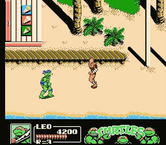 TMNT 8