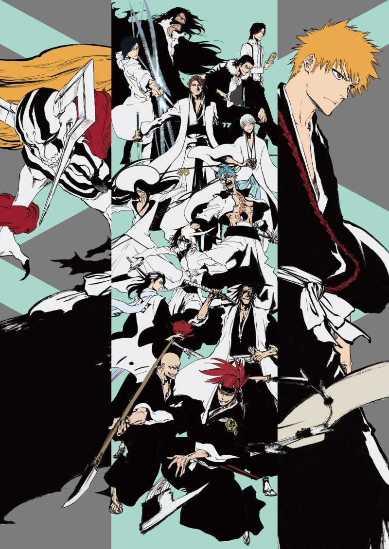  bleach-anime.jpg