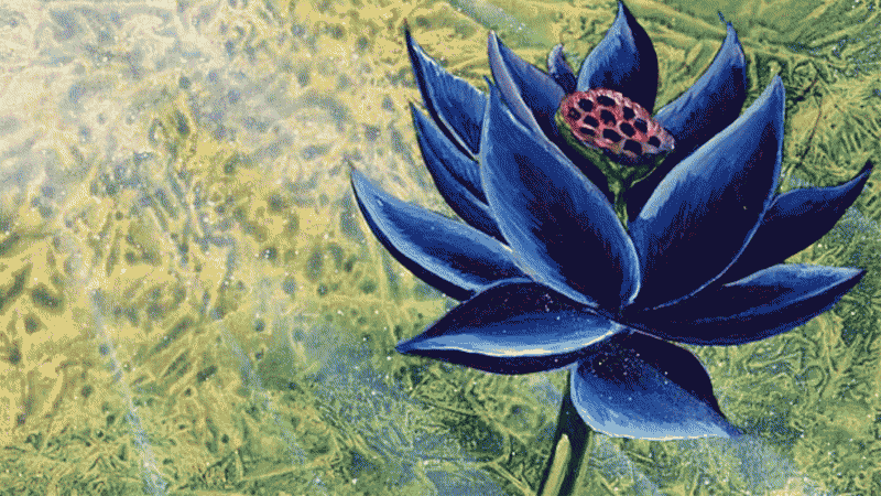 İmzalı PSA 10 Magic: The Gathering Alpha Black Lotus Kartı, eBay'de 700.000 Doların Üzerinde Teklif Veriyor