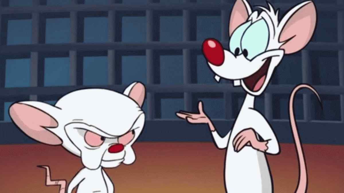Animaniakade näitleja kinnitab Pinkyt ja aju naasevad